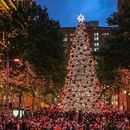 CS Sydney Weekly Meeting - Christmas Special's picture