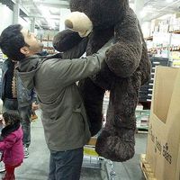 reza Parsanejad's Photo