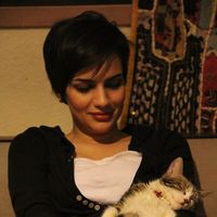 Mahzad Changalvaie's Photo