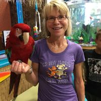 Maggie Sawdey的照片