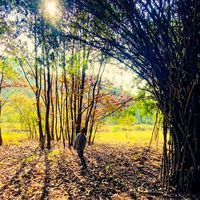 Anjan Kumar's Photo