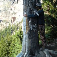 Samuel Romero's Photo