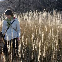 Lavrova Anya的照片