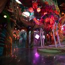[Denver Couchcrash] Meow Wolf Arts Exhibit's picture