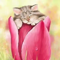 إيناس زيد's Photo