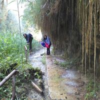 Sonia Flores的照片