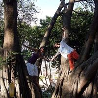 Le foto di Piotr Machalek