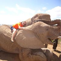 Debora Ferreira Aranha的照片