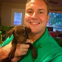 Nils Breckoff的照片