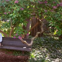 Max Rodriguez的照片