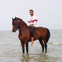 Habeeb Al Momatin's Photo