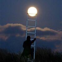 Roman Lamanchskiy的照片