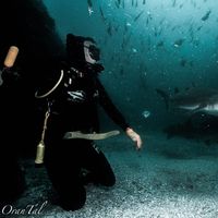 Itamar Demri的照片