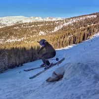 Molly Josephson's Photo