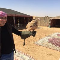 Fotos de Diving Diving