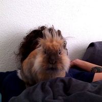 Rachel Portughes's Photo