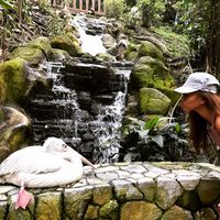 Donna Monica Mangilit的照片