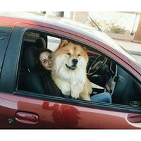 Fotos von Flor Espinosa