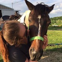 Karen Biondich的照片