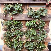 Wenedikt Biedemann's Photo