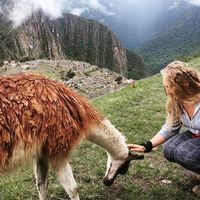 Frederike Wirtz的照片