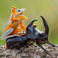 Andrea Pérez Elielpi的照片