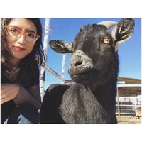 Angelica M R的照片