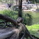 Picnic Girls 🫶🏽's picture