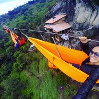 Rosa Ronseria的照片