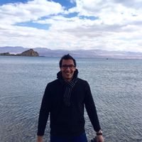 mohamed fouad的照片