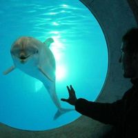 Artyom Artyomov's Photo