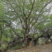 Flor Gonzalez's Photo