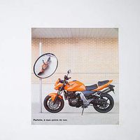 Фотографии пользователя Lili Charliie