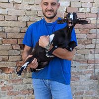 Elia Pallotti的照片