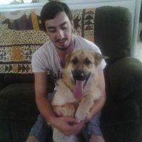 Christopher McDonald的照片