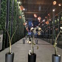 Mostafa Bahaa's Photo