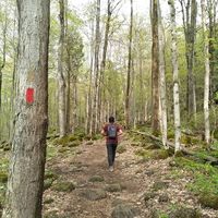 Zdjęcia użytkownika Juan Aria