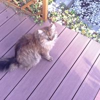 Michal Pobezal的照片