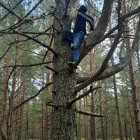 Fotos de Alexey ....