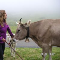 Stefanie Kohler的照片