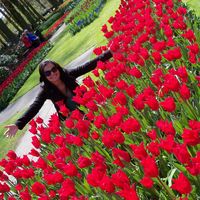 Fotos de Giselle Azevedo