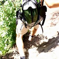 Balázs Gond的照片