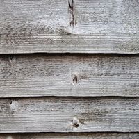 Фотографии пользователя Pablo Noriega