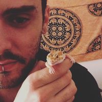 Leonardo Gottani的照片