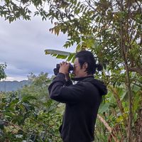 Harold Amaya的照片