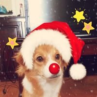 Le foto di Gabi Truong