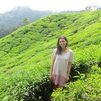 Фотографии пользователя Talia Slonim