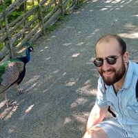 Mosab Adnan的照片