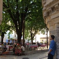 Alex Emerick's Photo