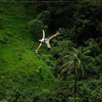 Tomás  Flores's Photo